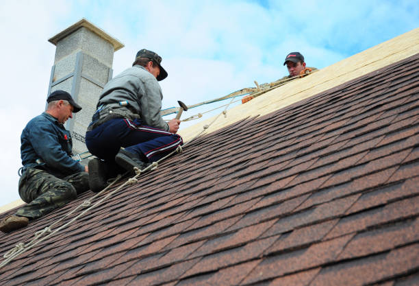Best Roof Restoration Services  in Captains Cove, VA